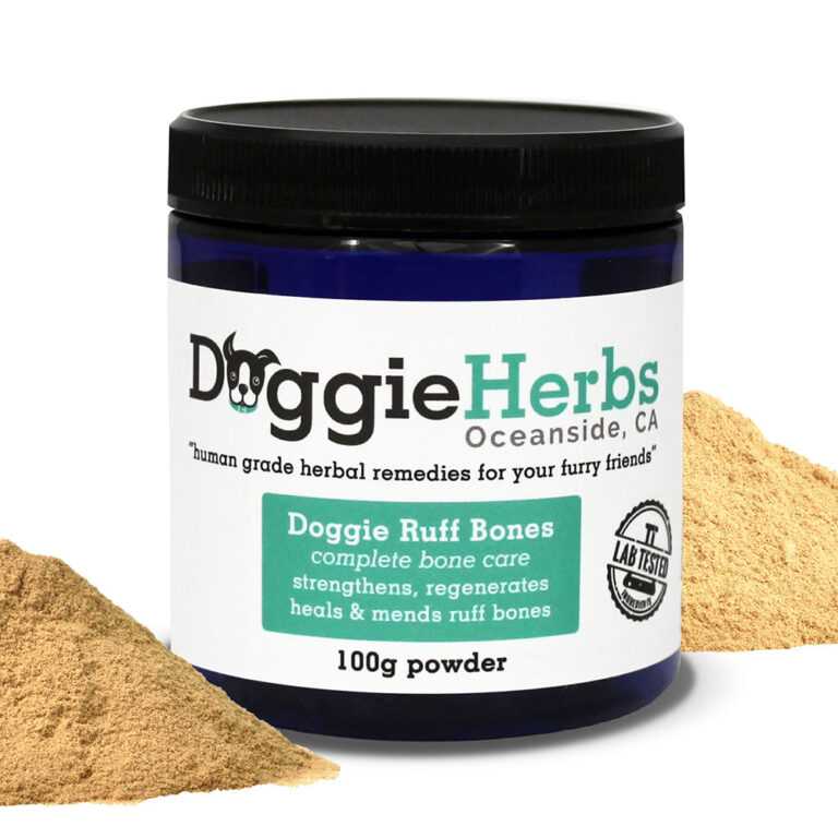 Herbal Remedies for Dogs Herbal Healing Dog Care