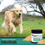 Dog Bone Healing - Complete Bone Care for Dogs