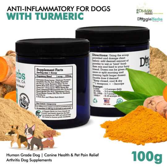 Natural Anti Inflammatory for Dogs Natural Pain Relief