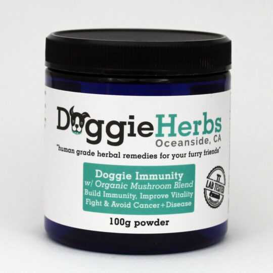 Dog Cancer | Canine Cancer | Using Herbs to Fight Cancer in Dogs