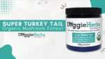 Super Turkey Tail Mushroom Extract by Doggie Herbs - 550mg Beta Glucan per 1g scoop