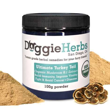 Ultimate-Turkey-Tail-Doggie-Herbs-image-01-1 Ultimate-Turkey-Tail-Doggie-Herbs-image-01-1