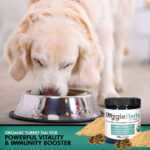 Ultimate Turkey Tail 8:1 Extract by Doggie Herbs - 389mg Beta Glucan per 1g scoop, Contains ONLY Polysaccharides - 100g