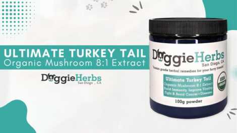 Ultimate-Turkey-Tail-Doggie-Herbs-video Ultimate-Turkey-Tail-Doggie-Herbs-video