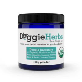 Immune Booster for Dogs with Organic Mushroom Blend