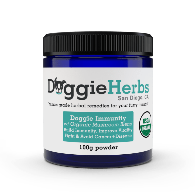 Chinese Herbs for Dogs and Their Use in Building Immunity