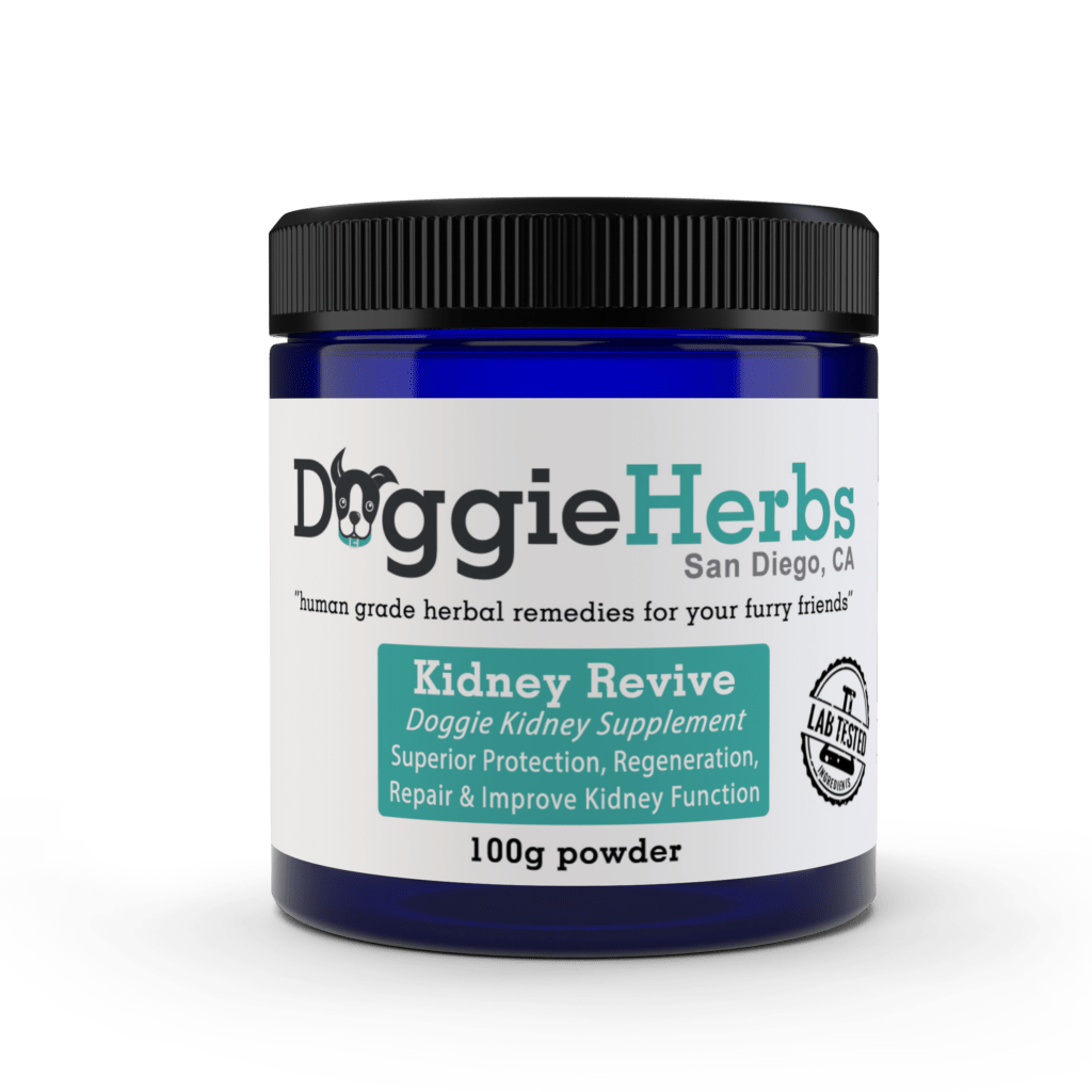 herbs for kidney disease in dogs