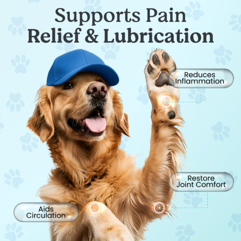 B07736HJF9_Doggie Herbs_Listing-03 B07736HJF9_Doggie Herbs_Listing-03