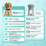 B07736HJF9_Doggie Herbs_Listing-06 B07736HJF9_Doggie Herbs_Listing-06