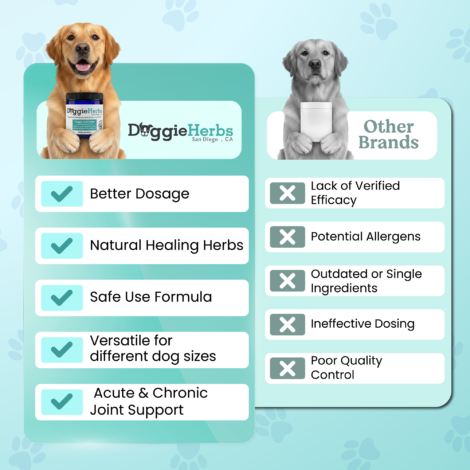 B07736HJF9_Doggie Herbs_Listing-06 B07736HJF9_Doggie Herbs_Listing-06