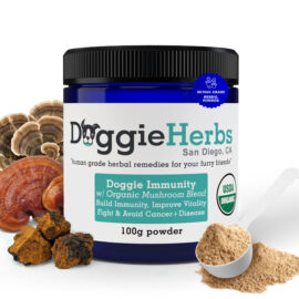 dog immunity booster for cancer and critical support