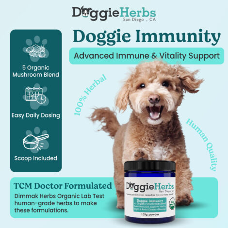 B078T3F7MW-Listing B078T3F7MW-Listing