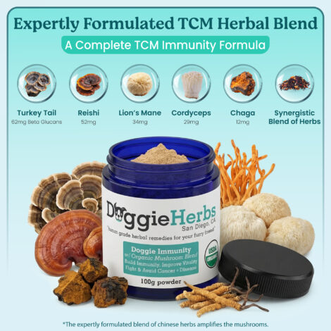 B078T3F7MW-Listing-03 B078T3F7MW-Listing-03