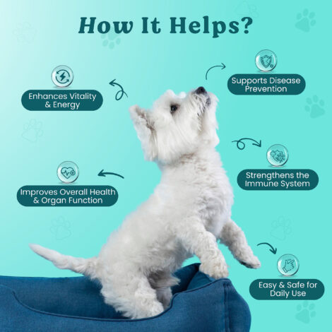 B078T3F7MW-Listing B078T3F7MW-Listing