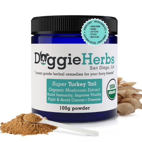 dog super turkey tail highest beta glucan 55% extract