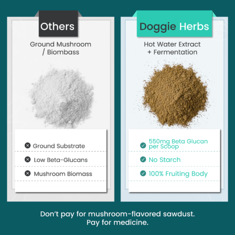 B085DPGQ23 Listing Images-03 B085DPGQ23 Listing Images-03