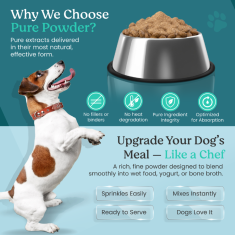 B085DPGQ23 Listing Images-04 B085DPGQ23 Listing Images-04