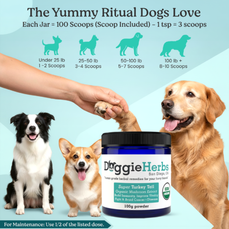 B085DPGQ23 Listing Images-05 B085DPGQ23 Listing Images-05