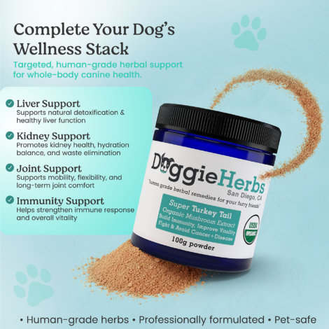 B085DPGQ23 Listing Images-06 B085DPGQ23 Listing Images-06