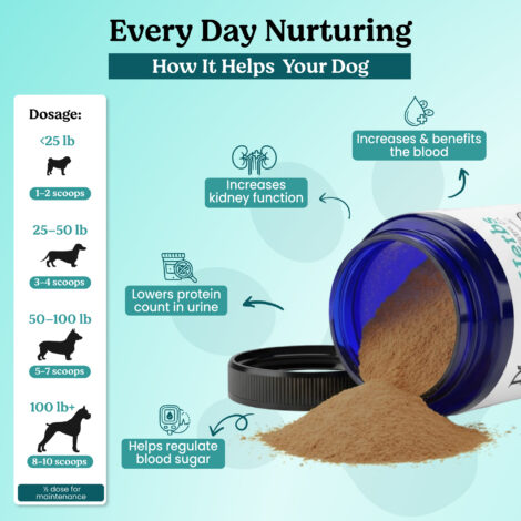 B09NZTCRN5-Listing-03 B09NZTCRN5-Listing-03