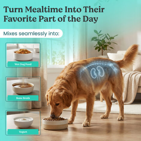 B09NZTCRN5-Listing B09NZTCRN5-Listing