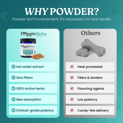 B09NZTCRN5-Listing B09NZTCRN5-Listing