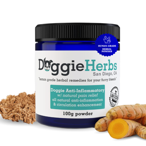 dog anti-inflammatory pain relief curcumin corydalis boswellia japanese knotweed resveratrol
