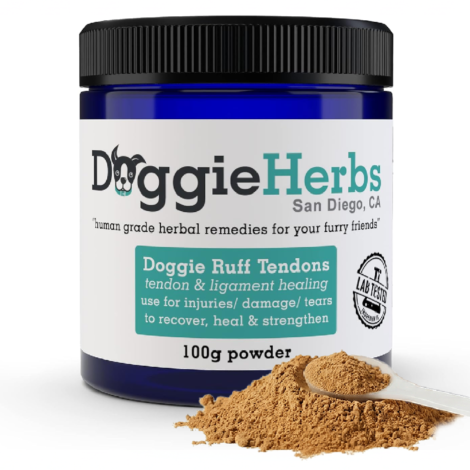 dog tendon mobility ligament acl ccl cruciate strain repair damage