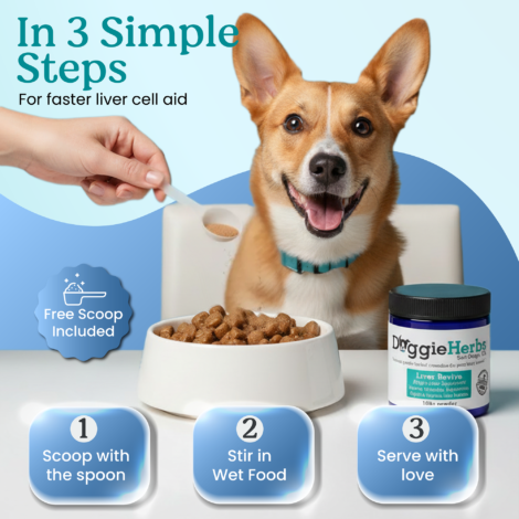 Listing-04 Listing-04