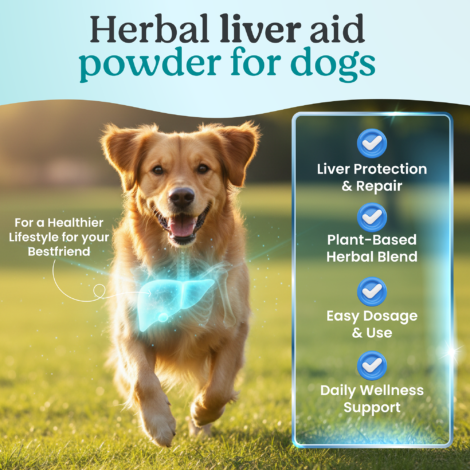 Listing-06 Listing-06